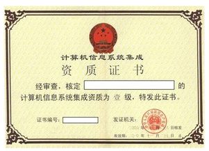 系統(tǒng)集成一級(jí)資質(zhì)標(biāo)準(zhǔn)下的軟件開發(fā)業(yè)績(jī)要求